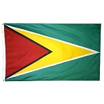 Guyana flag