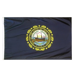 New Hampshire state flag