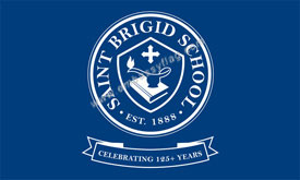 St Brigid Shool flag