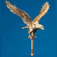 Gold eagle 11 inch