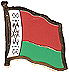 Belarus flag lapel pin