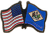 Delaware / USA friendship flag lapel pin