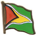 Guyana flag lapel pin