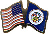 Minnesota friendship flag lapel pin