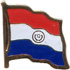 Parraguay flag lapel pin