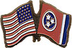 Tennessee friendship flag lapel pin