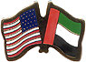 United Arab Emirates / USA friendship flag lapel pin