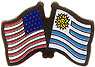 Uruguay / USA friendship flag lapel pin