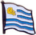 Uruguay flag lapel pin