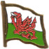 Wales flag lapel pin