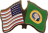 Washington friendship flag lapel pin